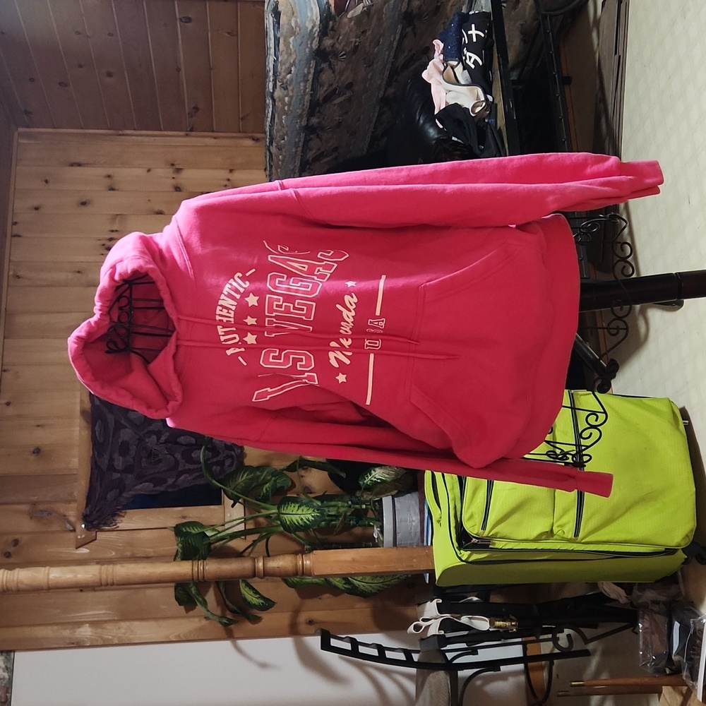 Point Sportswear pink hoody